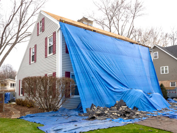 Best Storm Damage Siding Repair  in Tuscumbia, AL