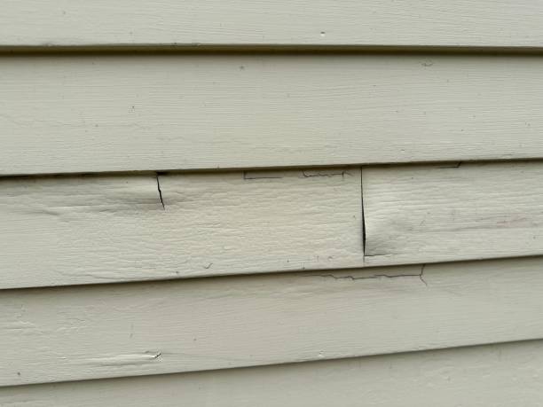 Affordable siding repair and maintenance services in Tuscumbia, AL
